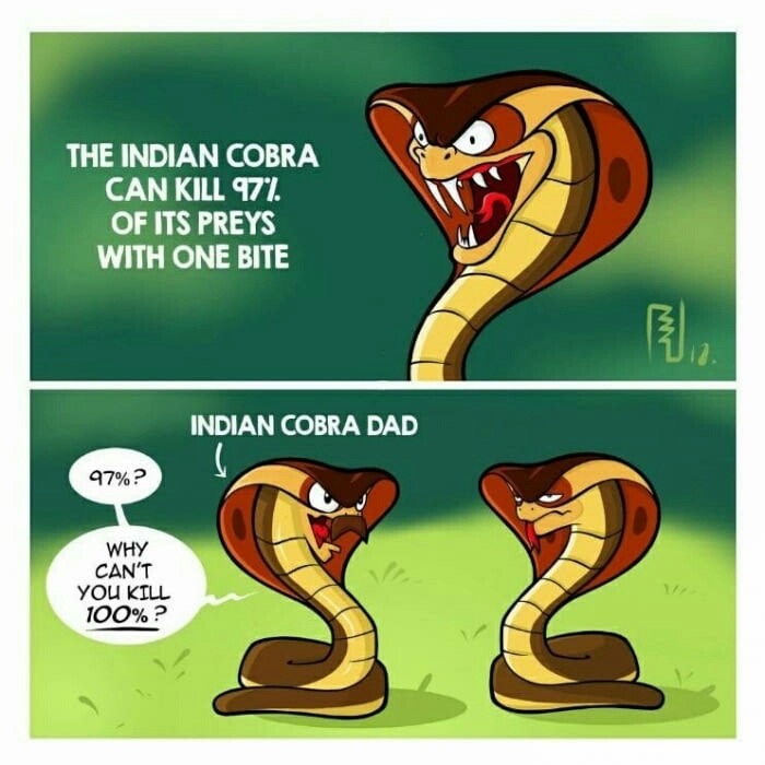 meme stream - indian cobra dad - The Indian Cobra Can Kill 971. Of Its Preys With One Bite Indian Cobra Dad 97%? Why Can'T You Kill 100%?