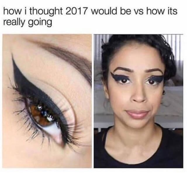 Meme - how i thought 2017 would be vs how its really going