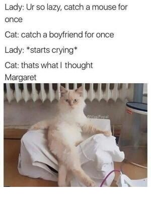 cat margaret - Lady Ur so lazy, catch a mouse for once Cat catch a boyfriend for once Lady starts crying Cat thats what I thought Margaret