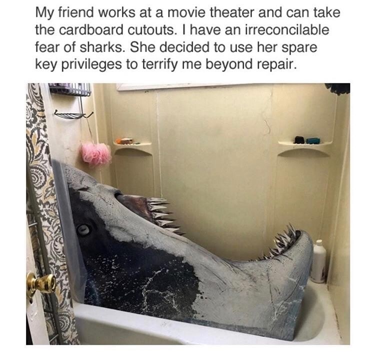 funny cardboard movie theater cutouts - My friend works at a movie theater and can take the cardboard cutouts. I have an irreconcilable fear of sharks. She decided to use her spare key privileges to terrify me beyond repair.