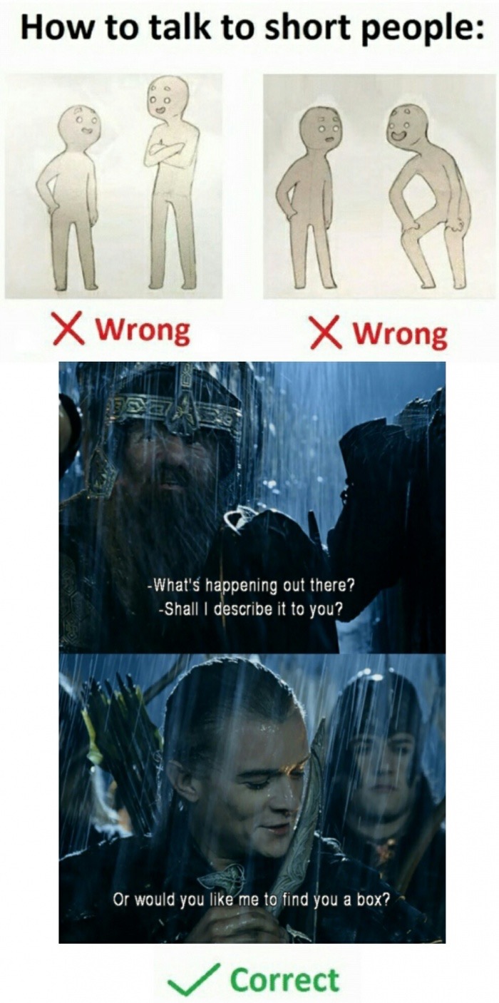 lotr funny memes - How to talk to short people X Wrong X Wrong What's happening out there? Shall I describe it to you? Or would you me to find you a box? Correct