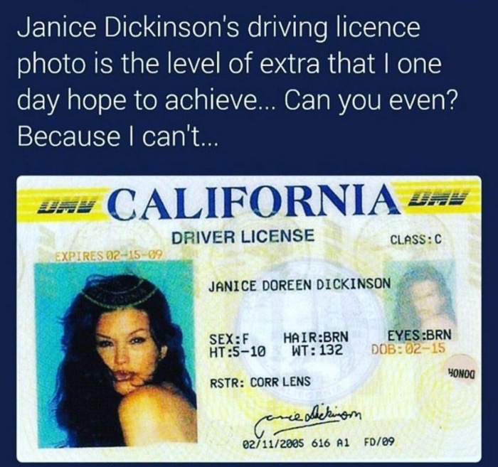level of extra - Janice Dickinson's driving licence photo is the level of extra that I one day hope to achieve... Can you even? Because I can't... Day California Dhe Driver License ClassC Expires 021509 Janice Doreen Dickinson SexF Ht510 HairBrn Wt 132 Ey
