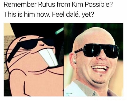 rufus kim possible meme - Remember Rufus from Kim Possible? This is him now. Feel dal, yet?