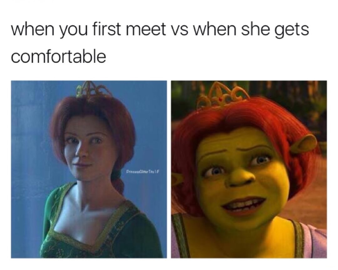 mirror vs snapchat meme - when you first meet vs when she gets comfortable Princent littor Titelif
