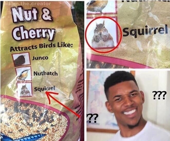 attracts birds like squirrel - am.the.creator Nut & Cherry Squirrel Attracts Birds Junco Nuthatch Asqu Squirrel ???