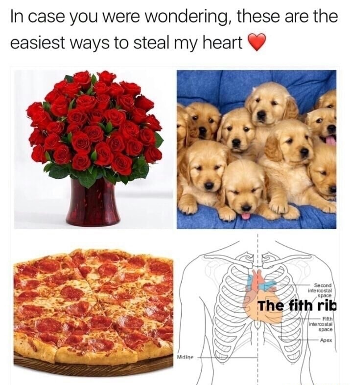 easiest way to my heart - In case you were wondering, these are the easiest ways to steal my heart Second intercostal space The fith rib Fifth intercostal space Apex Midir