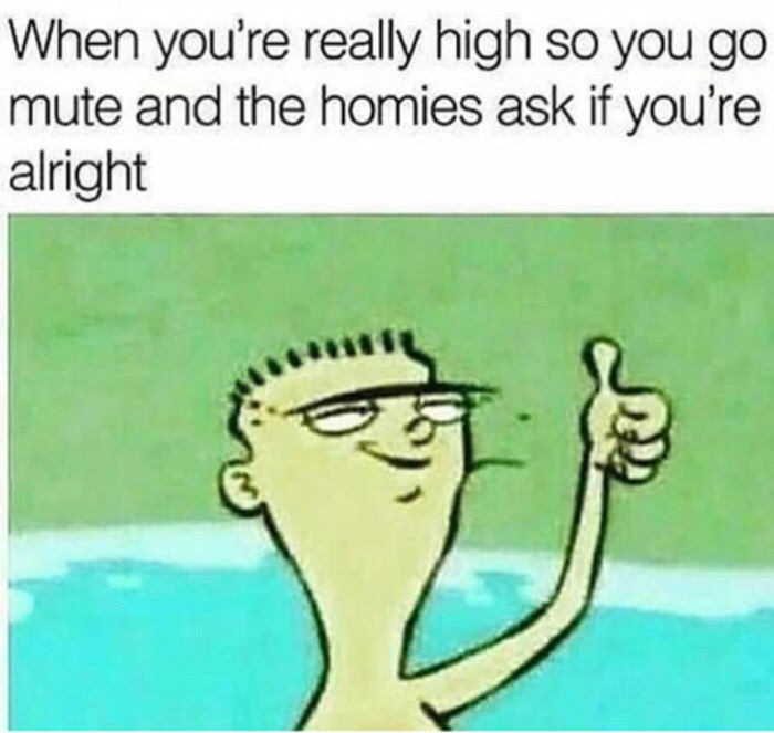 funny high cartoon memes - When you're really high so you go mute and the homies ask if you're alright