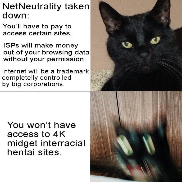 dumb memes - Net Neutrality taken down You'll have to pay to access certain sites. ISPs will make money out of your browsing data without your permission. Internet will be a trademark completelly controlled by big corporations. You won't have access to 4K