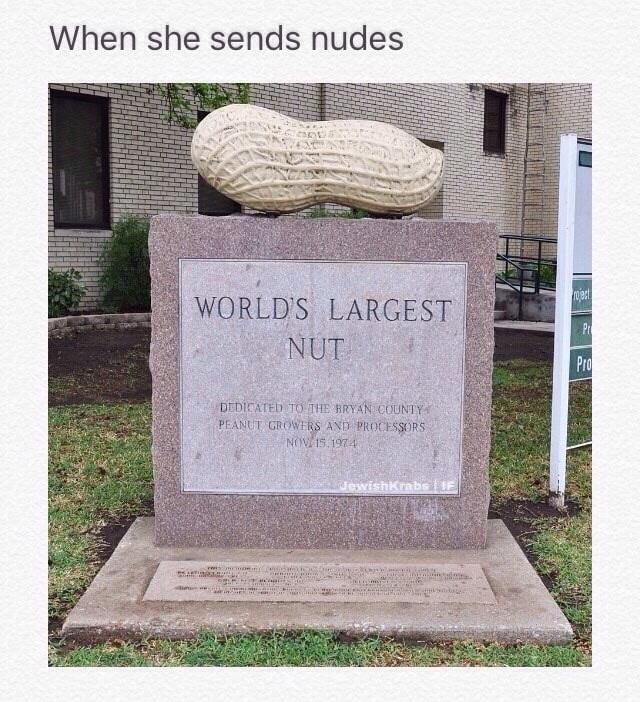 Meme of the world's largest nut as the feeling you get when she sends nudes.