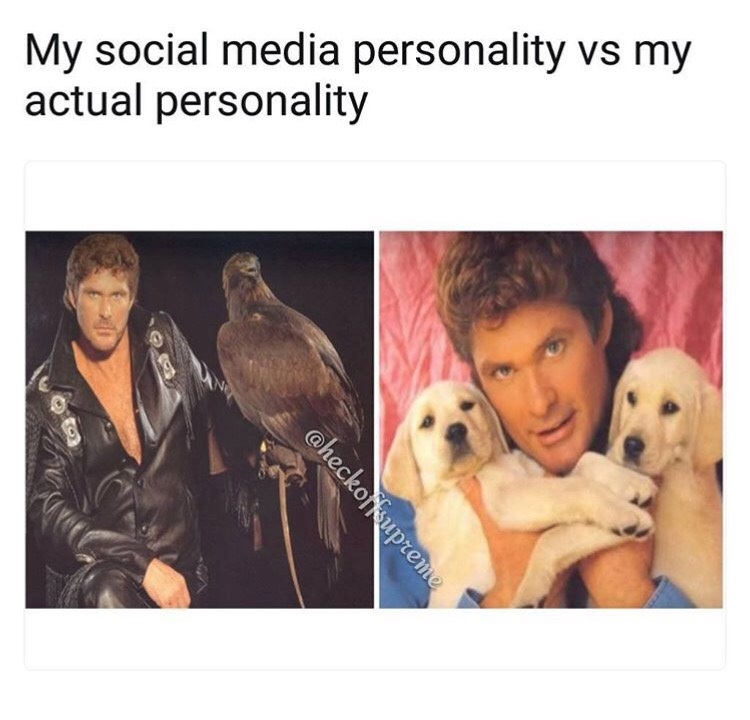 David Hasselhoff meme about media personality VS actual personality.