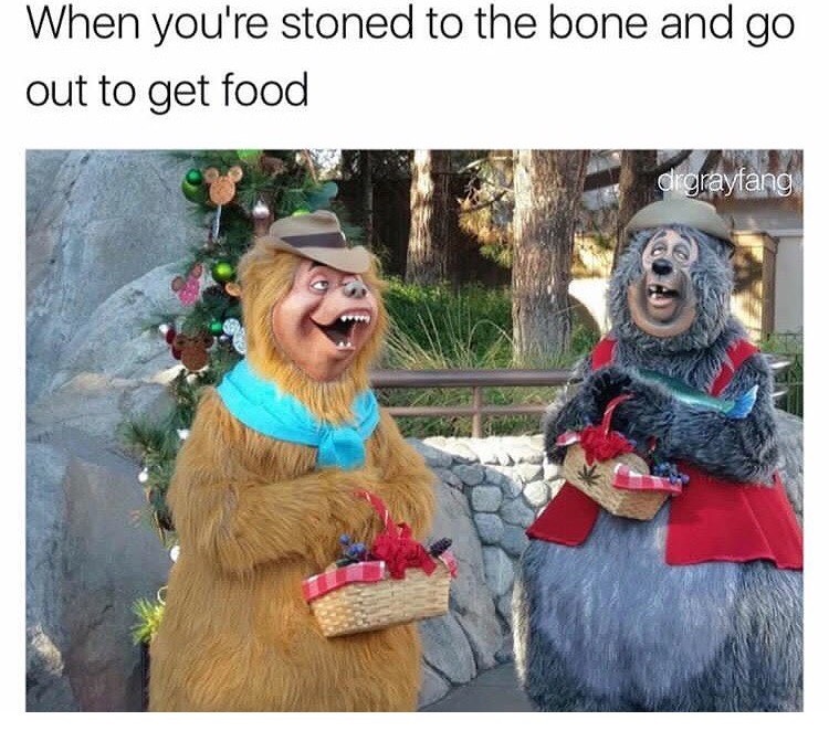 Funny meme of stoned out bear costumes that look like when you stoned to the bone and go out to get some food.