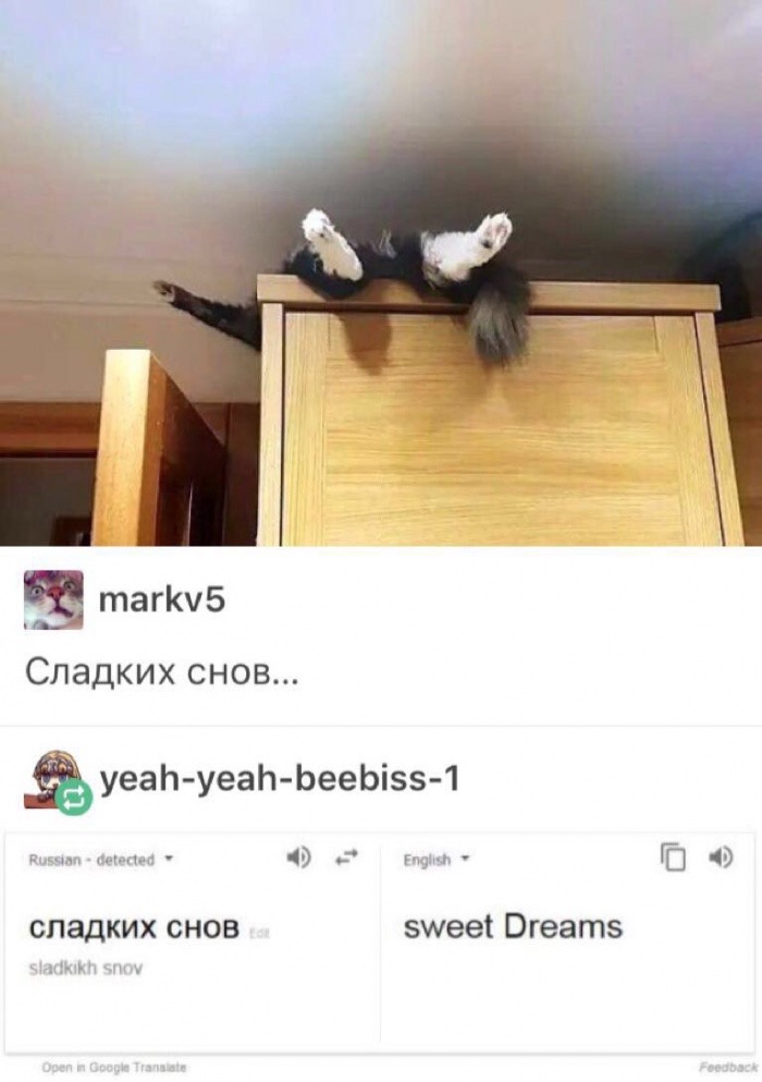 Russian Tumblr post of a cat passed out atop a closet, the caption translates to Sweet Dreams.