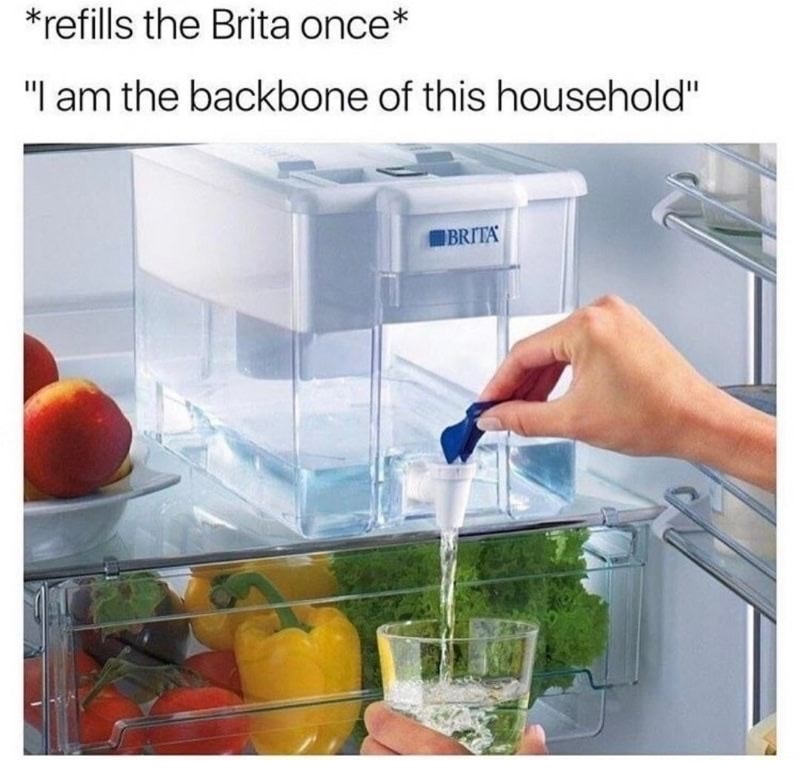 Meme about filling up the brita once and felling like the backbone of the household.