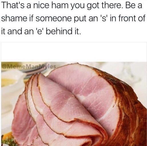 Nice ham you got there, wuld be a shame if someone added an S in the front and an E in the back. Horrible pun meme.