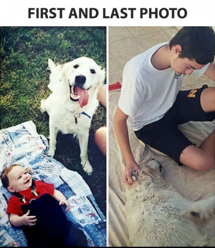 First and last photo of a kid with his dog, first at kids birth and then when the dog died years later.
