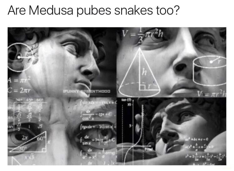 Are Medusa pubes snakes too? 4 x C 2.777 Ifunny Fiorenthood sn ta ligio gadenicos