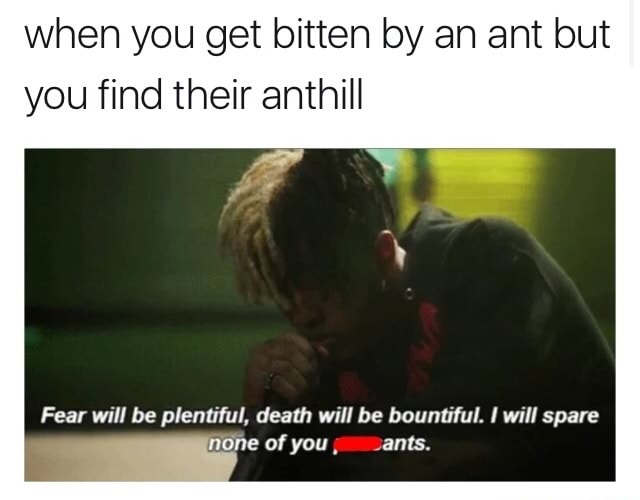 balls stuck in zipper meme - when you get bitten by an ant but you find their anthill Fear will be plentiful, death will be bountiful. I will spare none of you, ants.