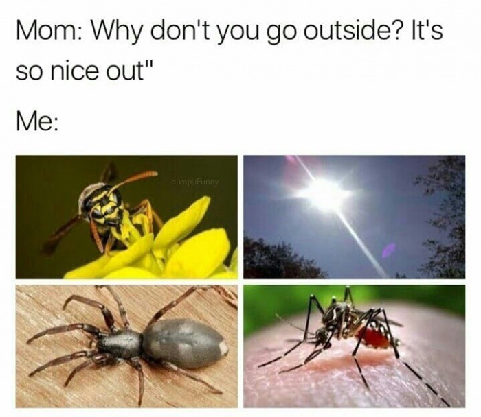 Meme about going outside and having to deal with all those bugs.