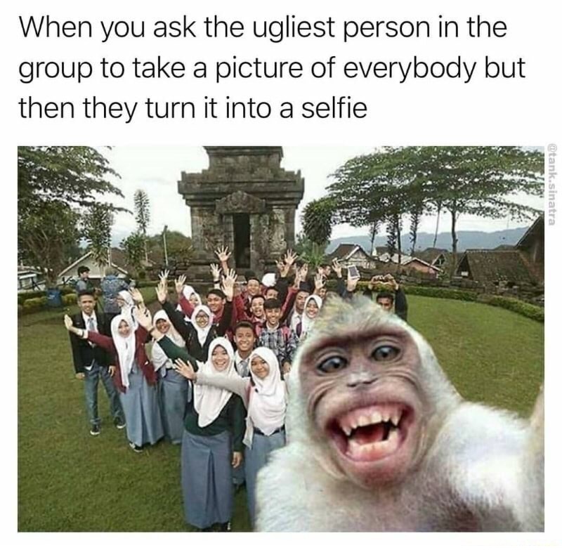 Meme about when ugly person in the group is asked to take a picture but turns it into a selfie.