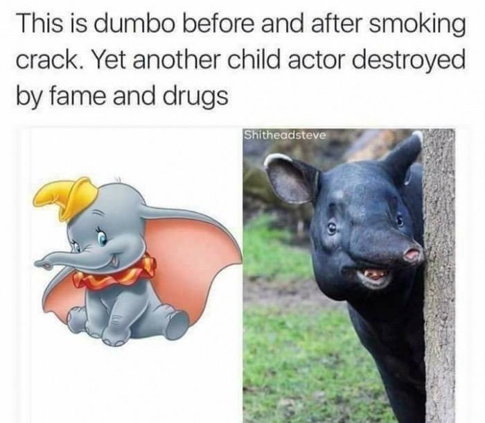 Funny meme comparing Dumbo to his old self and it is crooked picture of a whole different animal that looks like a baby elephant on crack.