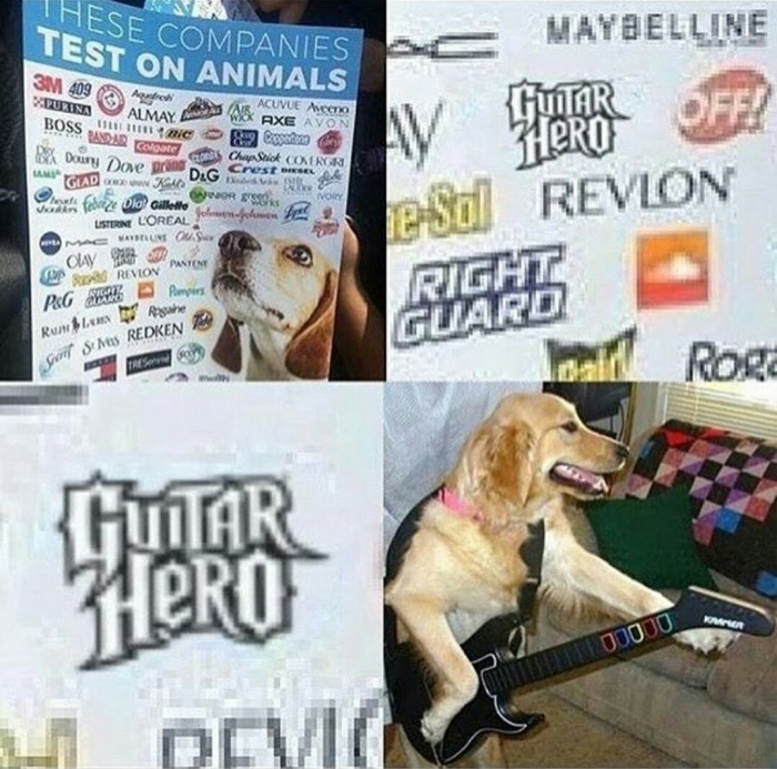 Sign of all the companies that test on animals, one of them is Guitar Hero, pic of dog jamming on guitar.