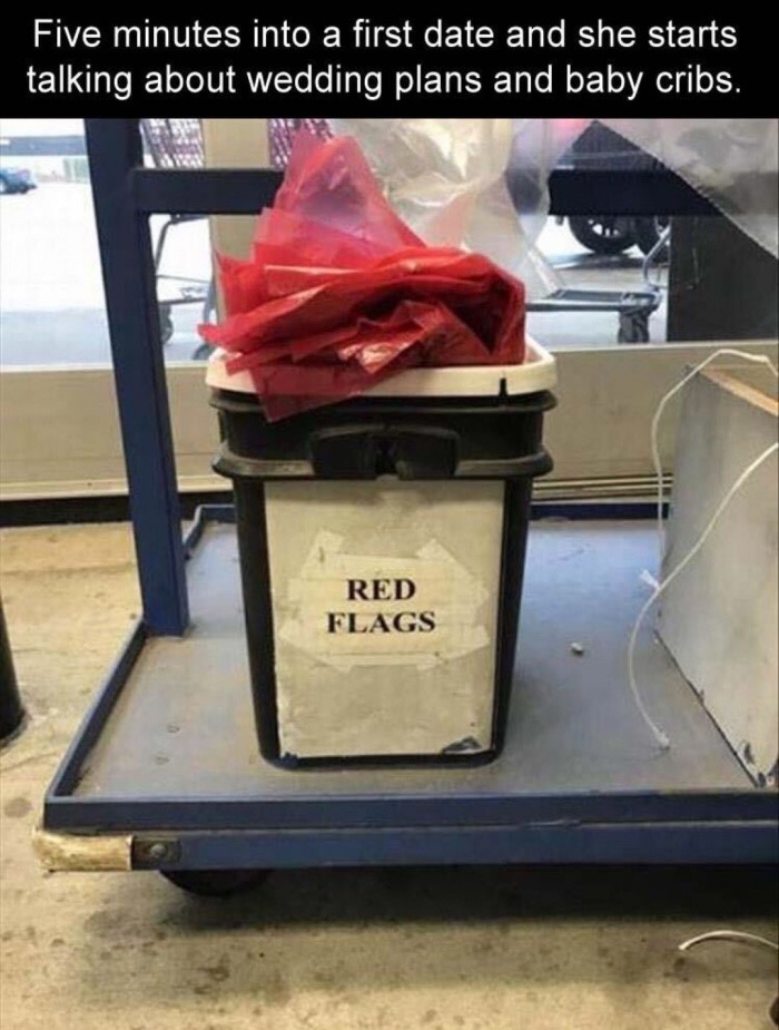 Bin full of red flags as meme about when 5 minutes into the first date she starts asking about wedding plans and baby cribs.