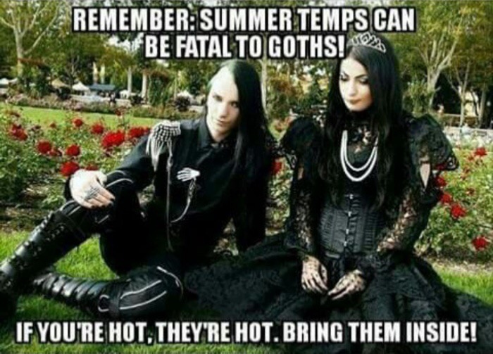 dank meme goth summer meme - Remember Summer Temps Can Be Fatal To Goths! If You'Re Hot, They'Re Hot. Bring Them Inside!