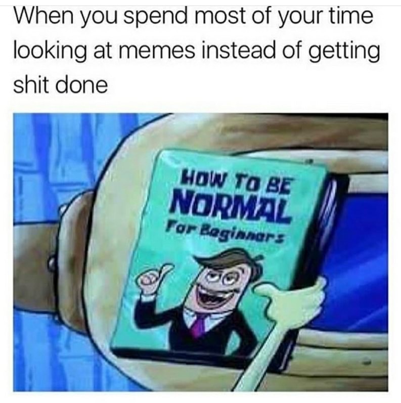 dank meme normal spongebob - When you spend most of your time looking at memes instead of getting shit done How To Be Normal For Beginners