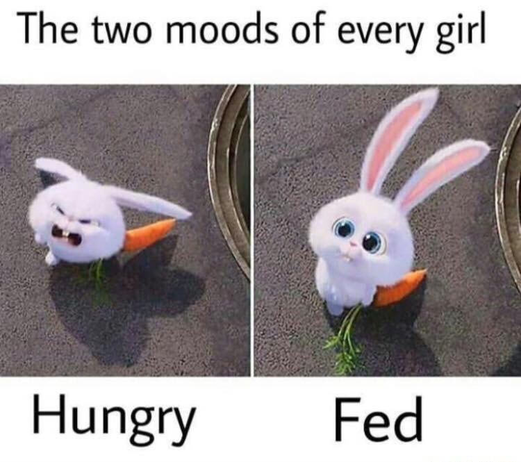 dank meme two moods of every girl hungry fed - The two moods of every girl Hungry Fed