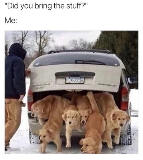 dank meme do you see yourself in 5 years dog meme - "Did you bring the stuff?" Me K2210