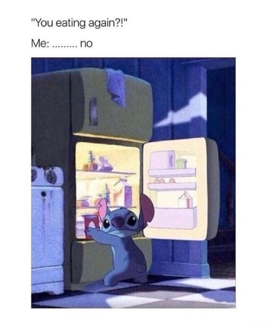 dank meme lilo and stitch kitchen - "You eating again?!" Me ........ no