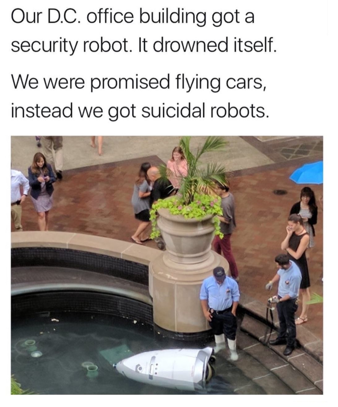 security robot suicide - Our D.C. office building got a security robot. It drowned itself. We were promised flying cars, instead we got suicidal robots.