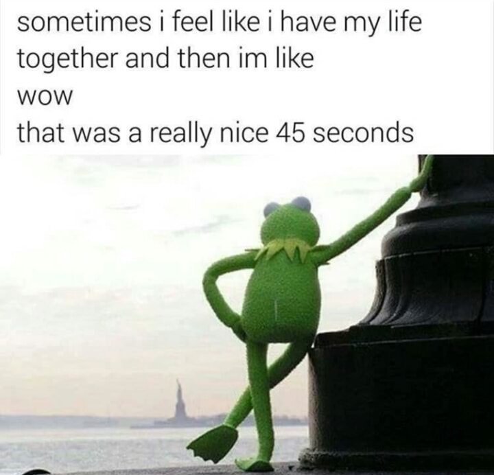 kermit new york - sometimes i feel i have my life together and then im Wow that was a really nice 45 seconds