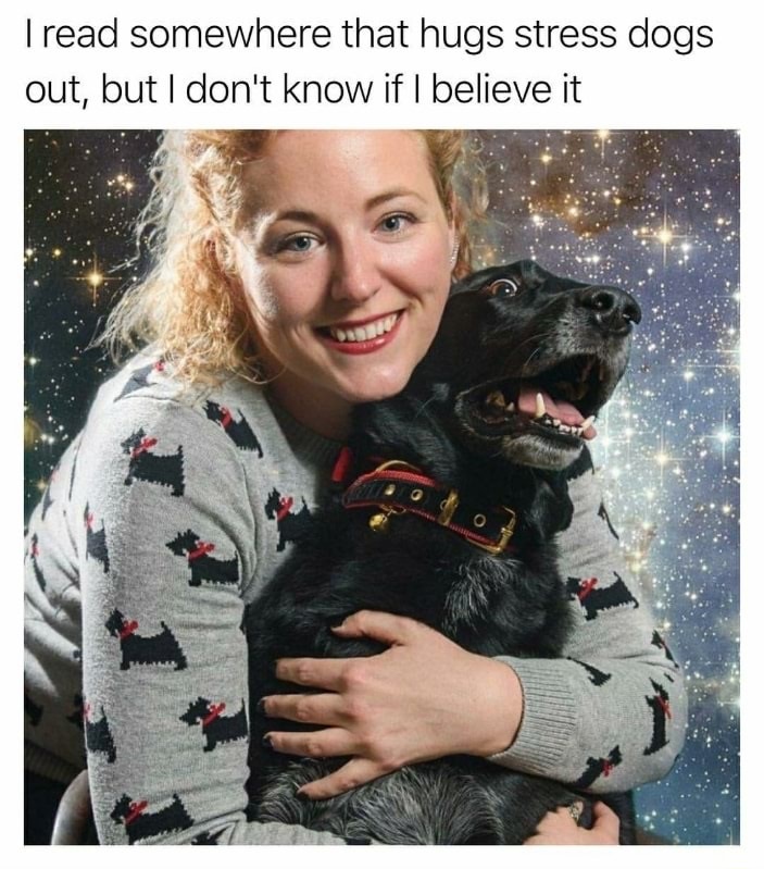 memes - awkward family photos dog - Tread somewhere that hugs stress dogs out, but I don't know if I believe it