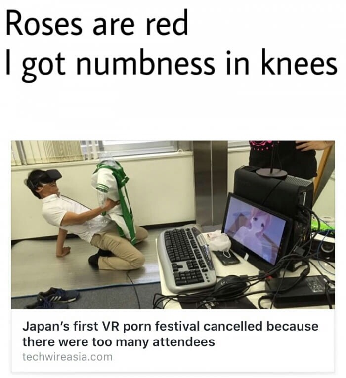 memes - adult vr games - Roses are red I got numbness in knees Full Lll Japan's first Vr porn festival cancelled because there were too many attendees techwireasia.com