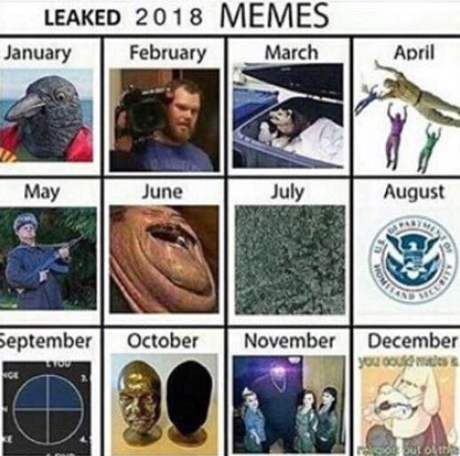 memes - department of homeland security - Leaked 2018 Memes January March April May June July August September October November December You Que 063 Stolt