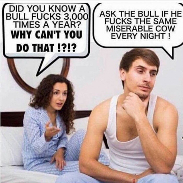 memes - did you know a bull - Did You Know A Bull Fucks 3,000|| Ask The Bull If He Times A Year? Fucks The Same Miserable Cow Why Can'T You Every Night! Do That !?!?