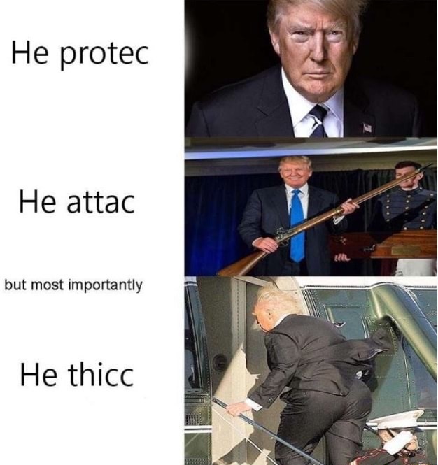 he protec he attac but most importantly he thicc - He protec He attac but most importantly He thicc