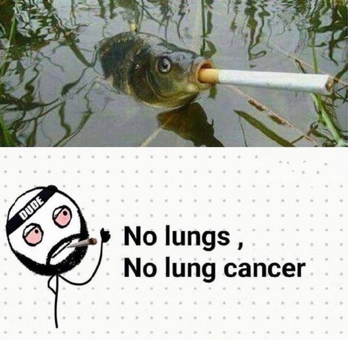no lungs no lung cancer - Dude No lungs, No lung cancer