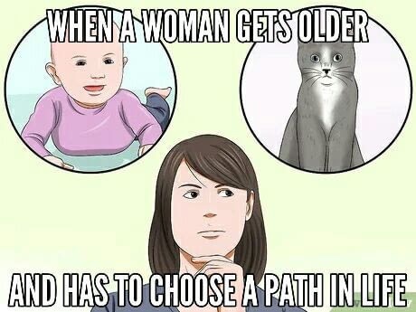 cartoon - When Anwoman Gets Older And Has To Choose A Path In Life