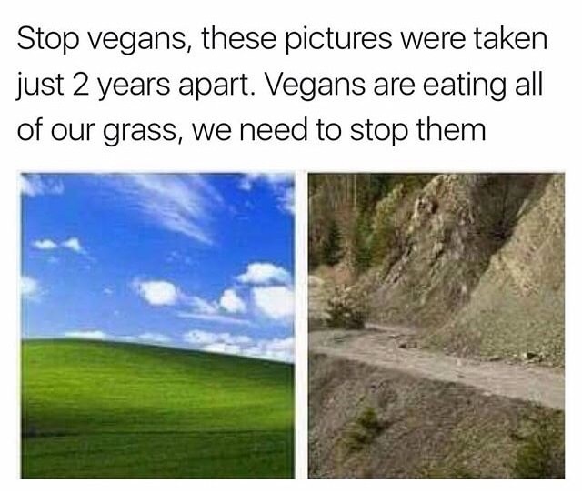 we need to stop the vegans - Stop vegans, these pictures were taken just 2 years apart. Vegans are eating all of our grass, we need to stop them