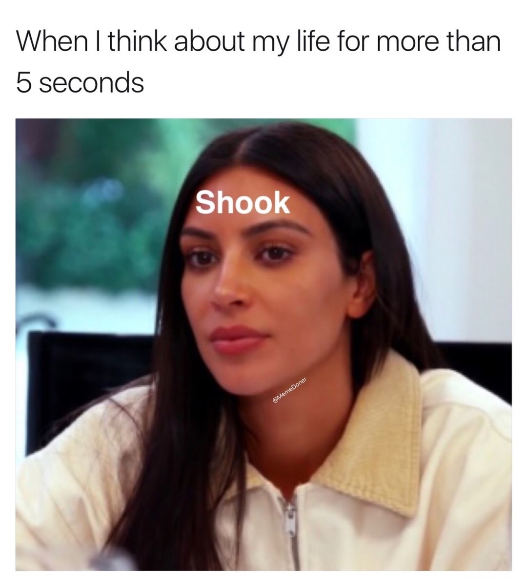 libra memes - When I think about my life for more than 5 seconds Shook Doner