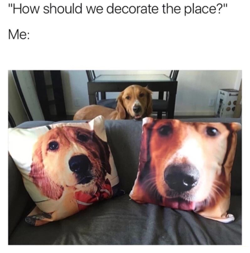 Dog - "How should we decorate the place?" Me