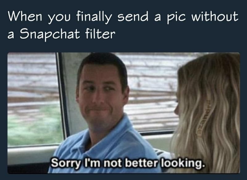 sorry i m not better looking - When you finally send a pic without a Snapchat filter Sorry I'm not better looking.