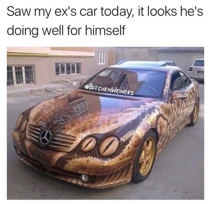 snake car - Saw my ex's car today, it looks he's doing well for himself