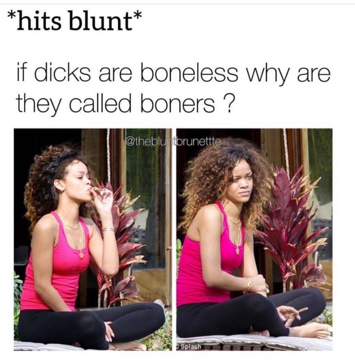 hits blunt stoner questions - hits blunt if dicks are boneless why are they...