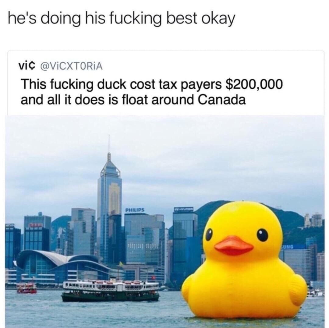 wan chai district - he's doing his fucking best okay vic This fucking duck cost tax payers $200,000 and all it does is float around Canada Philips