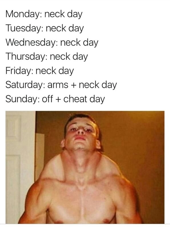 neck meme - Monday neck day Tuesday neck day Wednesday neck day Thursday neck day Friday neck day Saturday arms neck day Sunday off cheat day