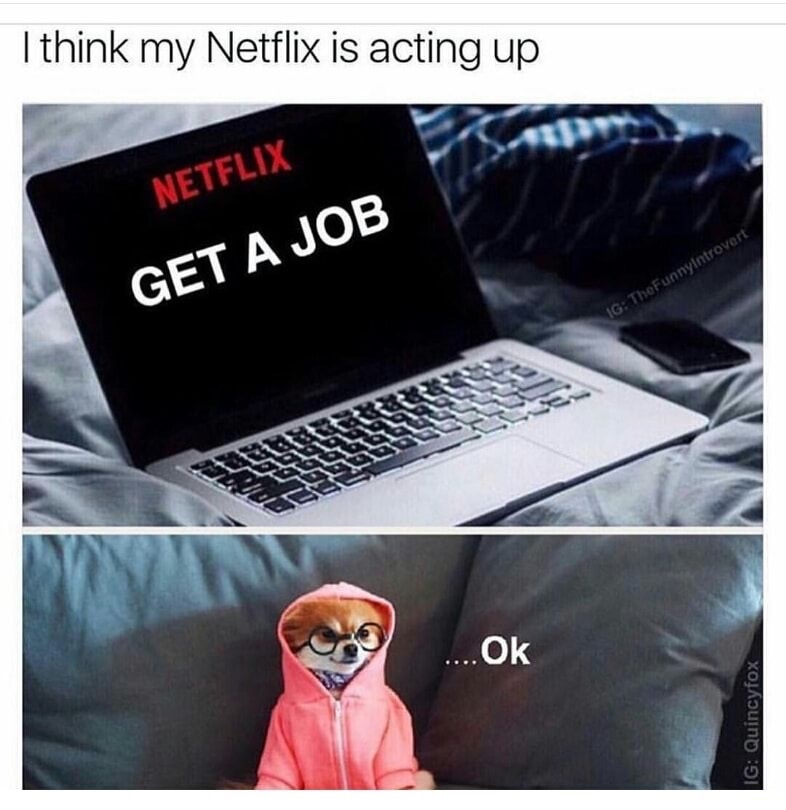 I think my Netflix is acting up Netflix Get A Job Ig The Funnyintrovert Ok Ig Quincyfox