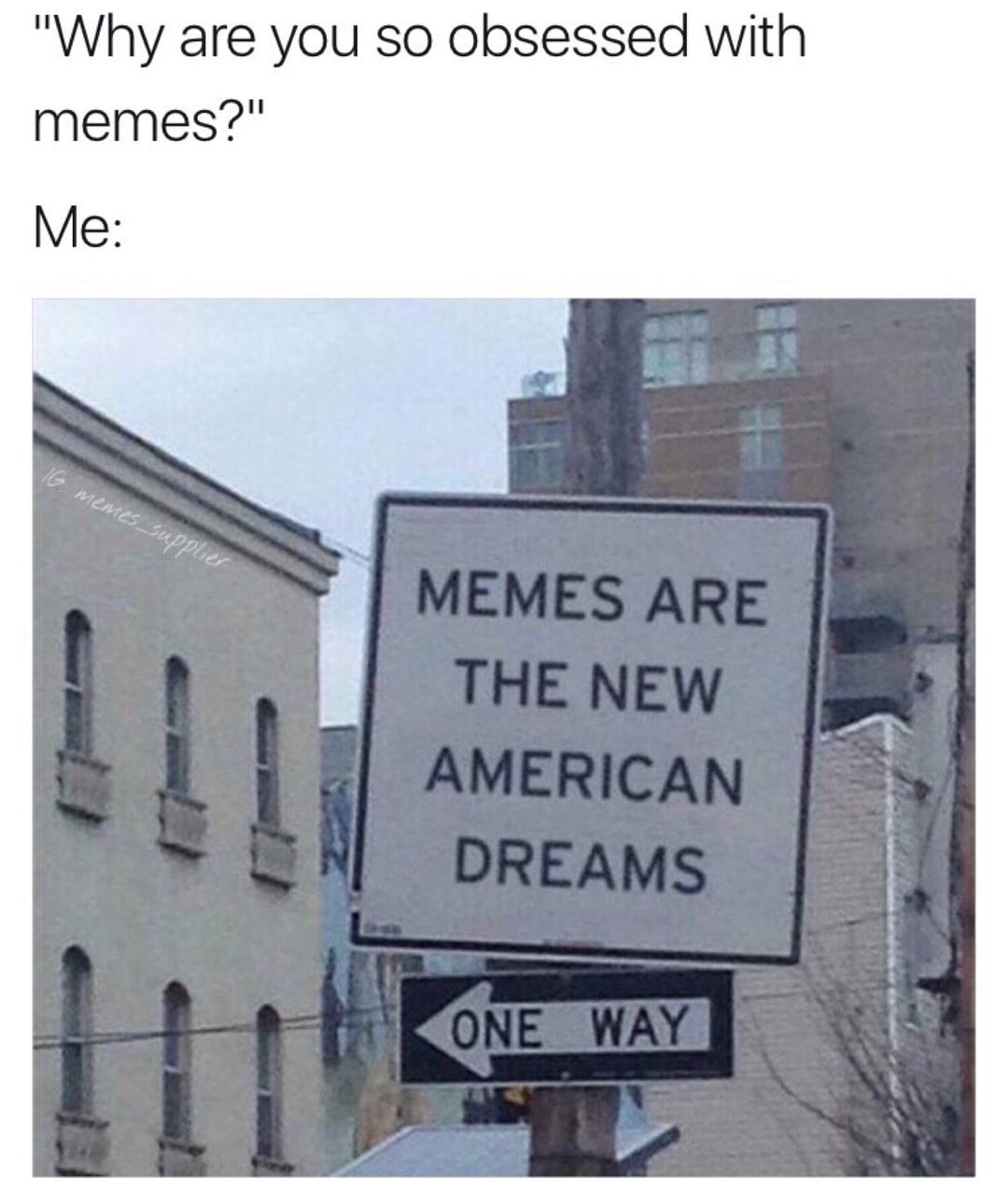 city one real estate - "Why are you so obsessed with memes?" Me Ig Memes Memes Are The New American Dreams One Way